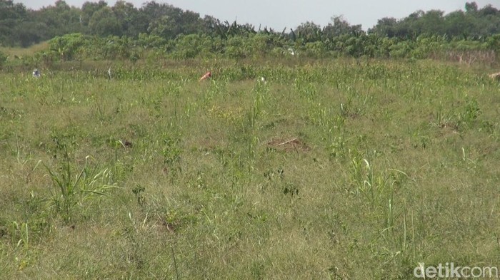 Lahan yang disiapkan untuk relokasi kawasan Pulogadung Jakarta di Subang, Jawa Barat