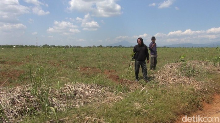 Lahan yang disiapkan untuk relokasi kawasan Pulogadung Jakarta di Subang, Jawa Barat