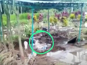 7 Fakta Penampakan Tiga Mayat Menyembul Usai Makam di Tulungagung Banjir