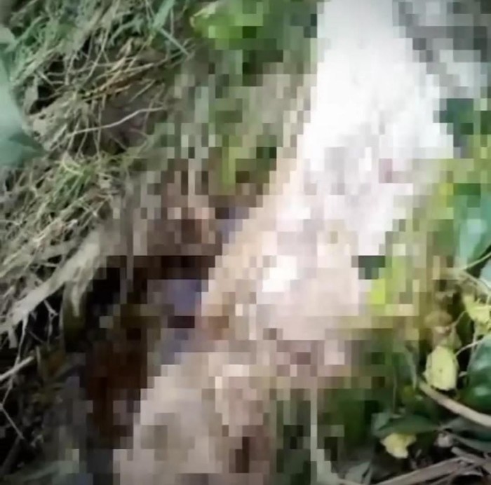 makam tulungagung diterjang banjir, mayat bermunculan