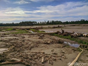Kelompok Tani di Mamuju Ngaku Tak Bisa Tanam Padi 3 Tahun Imbas Banjir