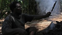 Seorang warga menunjukkan ulat sagu yang akan dibakar. Setelah dikumpulkan, ulat-ulat tersebut ditusuk dengan tusukan sate dan dibakar.