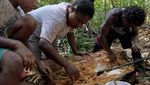 Melihat Festival Ulat Sagu di Kampung Yoboi Papua