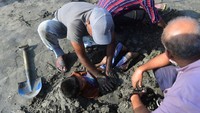 Seorang anak dikubur pasir saat fenomena gerhana matahari di Karachi, Pakistan (25/10/2022). Asif Hassan/AFP/Getty Images
