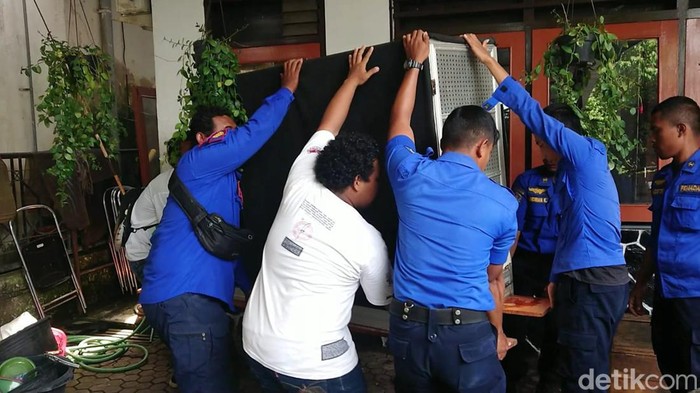 Proses evakuasi ular King Kobra yang menewaskan tuannya