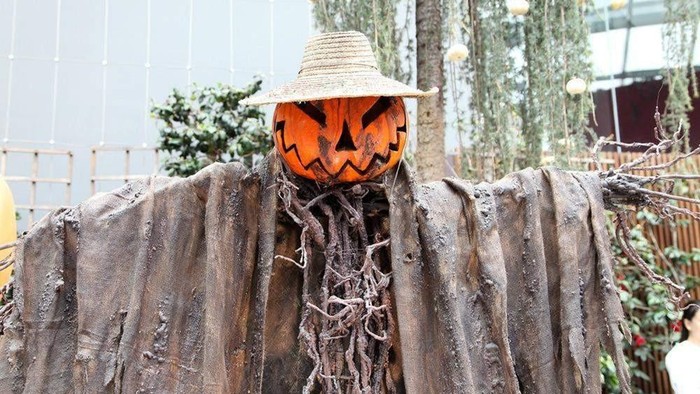 Asal Usul Halloween Day Diperingati Setiap Tanggal 31 Oktober