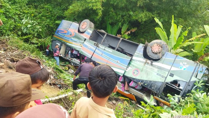 Bus ALS tujuan Panyabungan masuk jurang di Jalinsum Tapsel.
