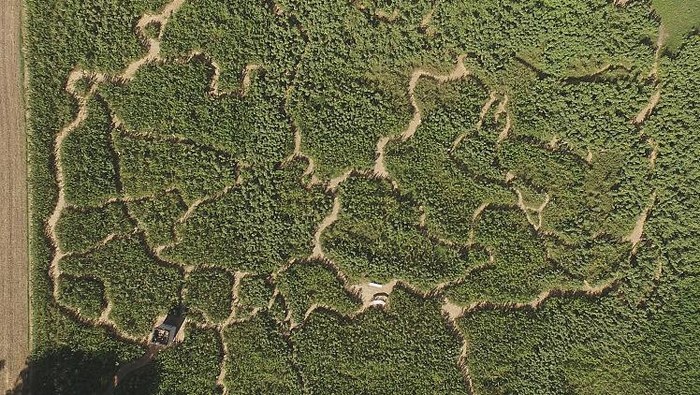 eretan Lanskap Labirin yang Keren Banget Konsep taman labirin terlihat sangat indah saat dijepret menggunakan drone dari ketinggian. Nah, seperti apa penampakannya?
