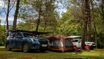 Kala Mobil Subaru Forester Kembali ke Alam