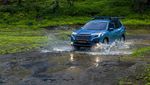 Kala Mobil Subaru Forester Kembali ke Alam