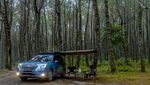 Kala Mobil Subaru Forester Kembali ke Alam