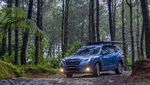 Kala Mobil Subaru Forester Kembali ke Alam