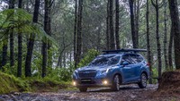 Subaru sangat unggul dan menghasilkan pengalaman berkendara yang menyenangkan dengan kemudi yang mudah dikendalikan.  Mobil pabrikan asal negeri sakura ini juga bisa loh diajak Healing ke Hutan untuk menjauhi hiruk-pikuk kota dengan segala problematikanya. 