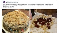Bikin kue khusus untuk anjing peliharaannya, netizen ini minta penilaian dan saran dari Gordon Ramsay. Bukannya menjawab, Gordon malah menyebut bahwa anjing saja tak mau menghabiskan kue buatan netizen itu. Foto: Bored Panda