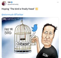 Meme Twitter