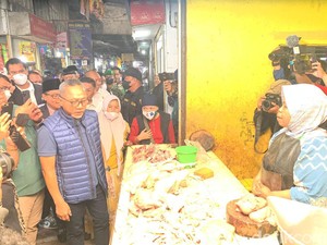 Harga Ayam di Malang Terlalu Murah, Mendag Zulhas: Peternak Bisa Bangkrut