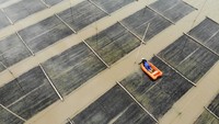 Seorang petani memaenen nori di atas perahu, di Taizhou, Provinsi Zhejiang, China, Rabu (26/10/2022). Nori merupakan penyebutan dalam bahasa jepang untuk makanan berupa lembaran rumput laut yang dikeringkan.