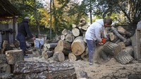 Para pria memotong kayu untuk pemanasan di luar Chisinau, Moldova, Sabtu, (15/10/2022).