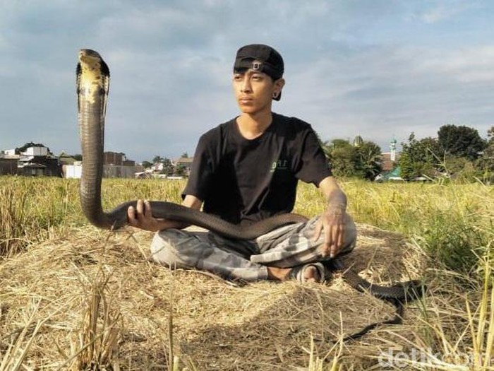 Rizal pawang ular asal Kota Malang