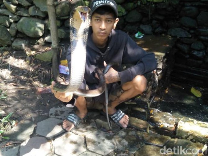 Rizal pawang ular asal Kota Malang