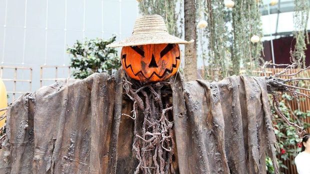 Sejarah labu Jack O Lantern tidak bisa lepas dari perayaan Halloween. Saat Hari Halloween, labu-labu tersebut biasanya dihias menyerupai sosok yang menyeramkan.