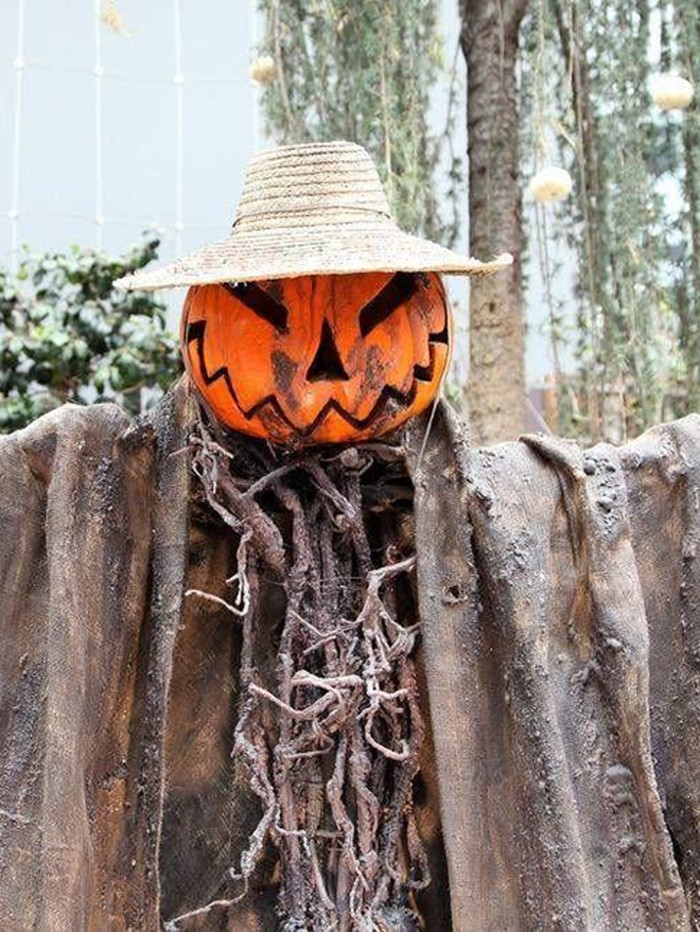 Sejarah Labu Jack O Lantern yang Identik dengan Perayaan Halloween Sejarah labu Jack O Lantern tidak bisa lepas dari perayaan Halloween. Saat Hari Halloween, labu-labu tersebut biasanya dihias menyerupai sosok yang menyeramkan.