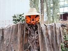 10 Ide Kostum Halloween 2025: K-Pop Demon Hunters sampai Karakter Pop Culture