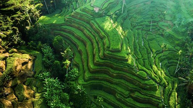 Tempat hits di Bali terbaru yang populer.