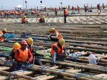 Proyek Tol Semarang-Demak Pakai 7 Juta Batang Bambu dari Jawa-Kalimantan