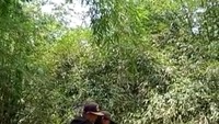 Karena jembatan terputus, sebanyak 14 kepala keluarga (KK) di banjar tersebut terisolasi. Aktivitas ekonomi, pendidikan dan aktivitas lain terganggu karena jembatan yang putus merupakan akses utama warga. (Foto: Istimewa)