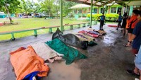 Jumlah korban tewas akibat Badai Tropis Nalgae yang menghantam Filipina dan memicu banjir bandang dan tanah longsor, kini telah bertambah menjadi 45 orang.