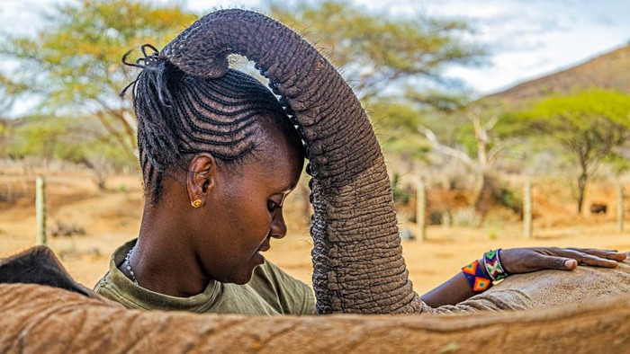 Benjamin Mkapa African Wildlife Photography Award 2022 Benjamin Mkapa African Wildlife Photography Award 2022