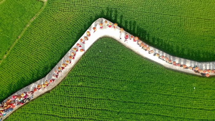 FESTIVAL GALUNDI SINGKARAK Ibu-ibu menjunjung jamba (makanan) saat mengikuti arak-arakan, pada Festival Galundi Singkarak di Nagari Batu Taba, Kabupaten Tanah Datar, Sumatera Barat, Sabtu (29/10/2022). Festival Galundi Singkarak digelar Nagari Batu Taba dengan menampilkan berbagai atraksi seni-budaya khas daerah itu di tepian Danau Singkarak. ANTARA FOTO/Iggoy el Fitra/foc.