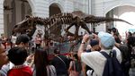 Fosil T. Rex Mau Dilelang, Harganya Dahsyat!