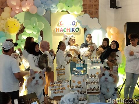 Pesta ultah mewah untuk kucing