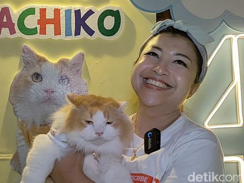 Pesta ultah mewah untuk kucing