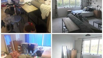 Yaampun enak banget dipandangnya kalau rapi gitu. Foto: (Bored Panda)