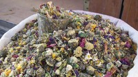 Rahasia umur panjang adalah nutrisi yang baik, mineral di mata air dan ramuan herbal yang ditambahkan ke teh untuk mencegah penyakit. Jadi orang tidak perlu minum obat apa pun, hanya menggunakan obat alami.