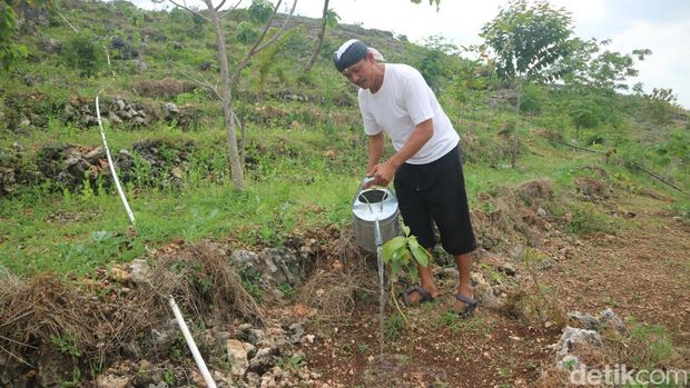 Sedulur Sikep di lereng Bukit Alang-alang Sukolilo, Pati, Jumat (28/10/2022).