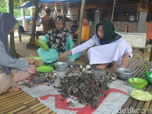 Gurih Kenyal Tiram Bakar Khas Barru yang Bikin Nagih