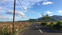 Desa Banyu Urip yang berada di bawah kaki Gunung Mareje sebelah utara ini, kerap memiliki banyak spot wisata. Baru ada Jembatan Pelangi yang menjadi lokasi foto selfie favorit. Namun suasana Desa Banyu Urip yang tenang dan nyaman cocok untuk jadi tempat healing. Melewati sepanjang jalan desa, traveler akan dimanjakan pemandangan aktivitas petani. Foto: Ahmad Viqi/detikBali