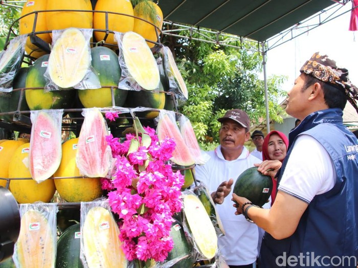 festival buah festival buah desa latukan
