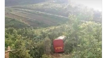 Mungkin Liverpool masih tersesat di hutan Nottingham usai minggu lalu dilibas Nottingham Forest. Foto: Twitter