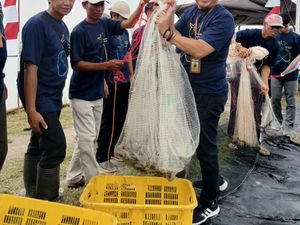 Berkat Inovasi, Petani Milenial Jabar Sukses Panen 1,3 Ton Udang Vaname