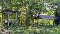 Tidak sedikit orang yang berkunjung diperlihatkan sosok menyeramkan hingga penampakan anak kecil yang kerap terlihat di lokasi tersebut. Foto: Made Wijaya Kusuma