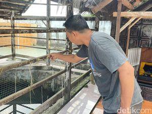 Kisah Raja La Massora Tangkap Bidadari, Awal Mula Sumur Manurung Lapakkita