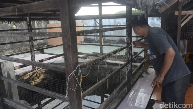 Sumur Manurung Lapakkita di Pinrang, Sulawesi Selatan.