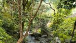 Air Terjun Bajuin yang Eksotis di Kalsel, Sudah Tahu Belum?