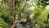 Alam di lokasi air terjun Bajuin