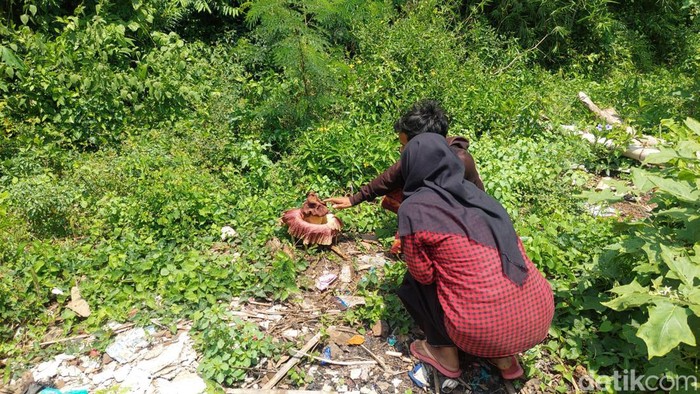 Bunga bangkai yang tumbuh di pekarangan rumah warga Probolinggo